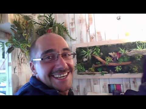 Burgos 2 - Die VERFLIXTE Zeltstange & noch ein Verrückter | Jakobsweg Doku Teil 18