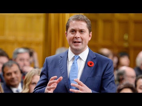 Question Period: Stats Canada data privacy and byelections - October 31, 2018