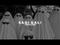 Sadi Gali ( slowed + reverb ) // Audio Edit