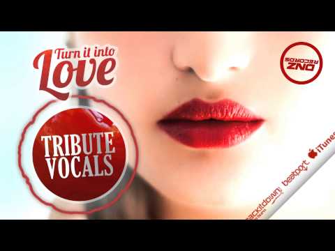 DNZ123 // TRIBUTE VOCALS - TURN IT INTO LOVE (Official Video DNZ RECORDS)