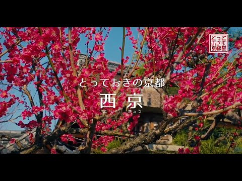 とっておきの京都プロジェクト 西京