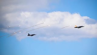 Ucrania comprará hasta 20 cazas Gripen de última generación y Suecia donará 16