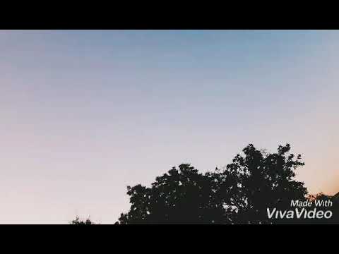 MR.T - El feledett szó /2019/