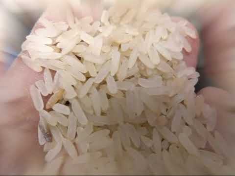 Ostad no 3 rice huller cum polisher