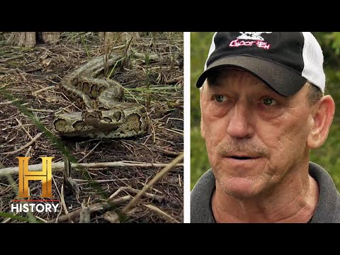 Diving Straight Into "The Snake Pit" | Swamp People: Serpent Invasion (Season 3) | History