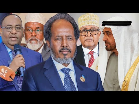 MD Hassan Sheikh Oo Dalab Dirsaday, Xog Laga Helay Shirkii S/Land Ka Qeyb Galeen Iyo Warar Kale