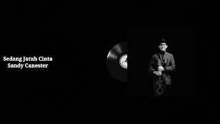Download lagu Full Album Sandy Canester | TANPA IKLAN  - INDIE/FOLK/JAZZ mp3