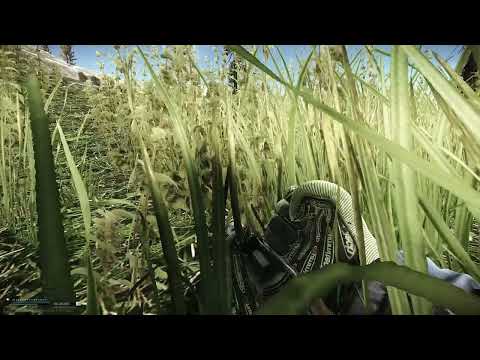 Killing PMC as a Scav with a knife - EFT