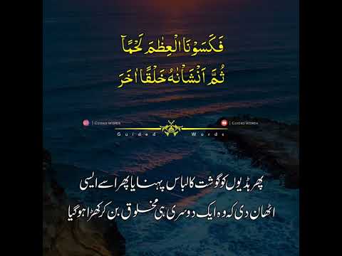 Sureh Mominoon Ayat 12 to 16 | Beautiful Recitation With Urdu Translation