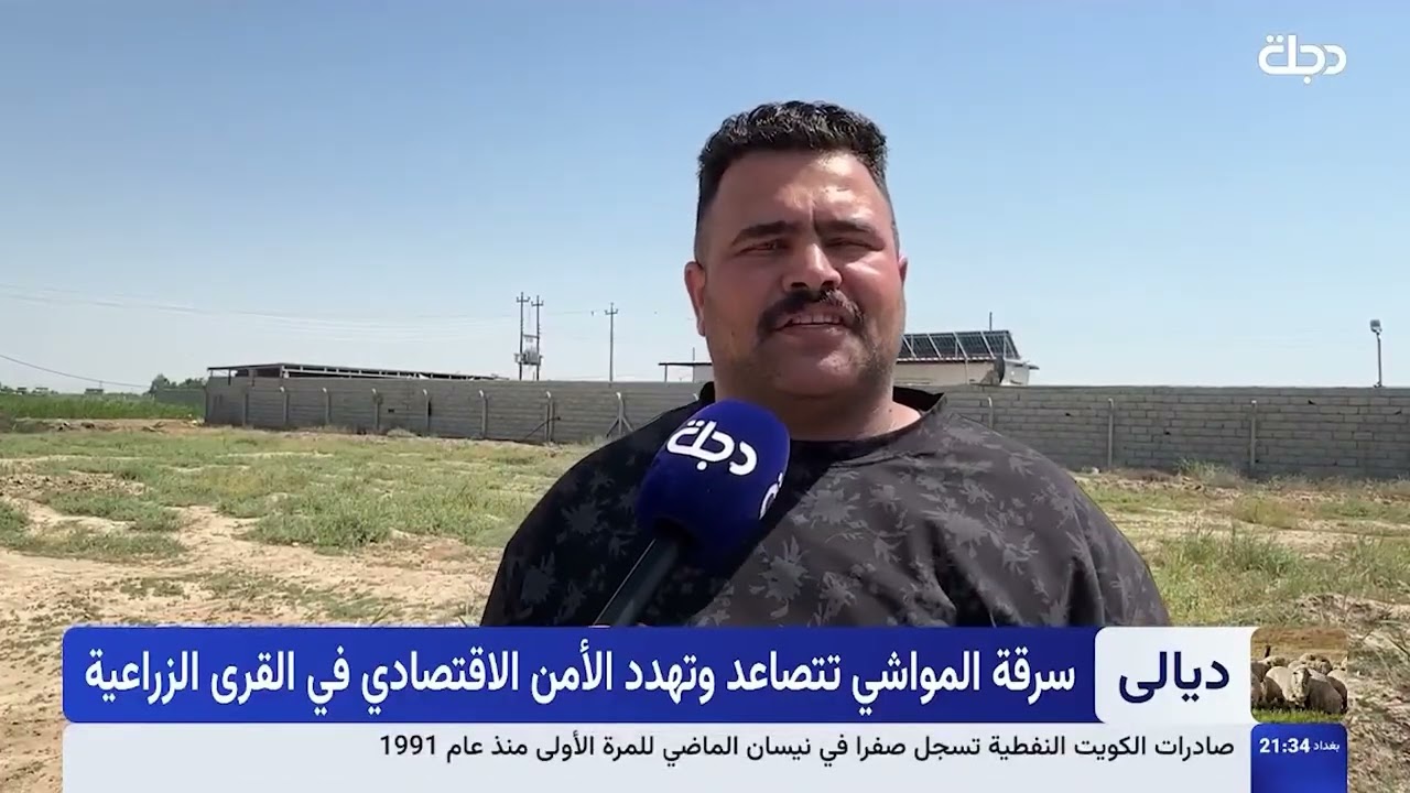 فيديو | سـ.ـرقات المواشي في ديالى.. تهديد أمني بأساليب متطورة