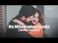 Na Milo Humse Zyada Kahin Pyar Ho Na Jaye Slowed Reverb Sonu Nigam Badal Turn On LoFi
