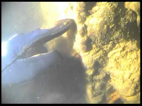 Lacul de acumulare Cincis.mp4