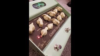 Video thumbnail for Carvin VLD1 Review - The Vai Sound for £500? by Craig Shutt