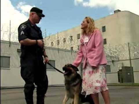 VTS_01_1_NEWprisonlife.wmv