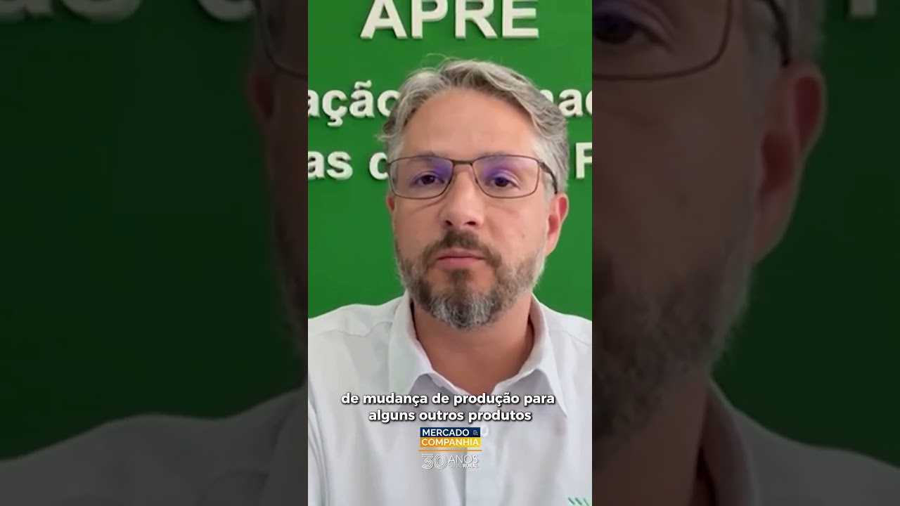 Tarifaço dos EUA pressiona exportações da indústria madeireira