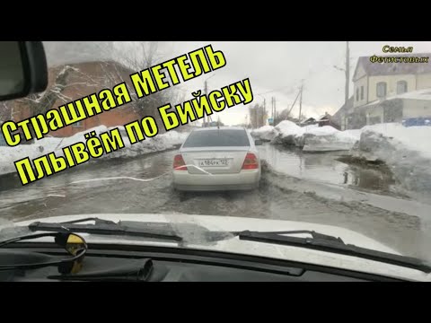 Страшная Метель. Проворонили двух телят./ Семья Фетистовых