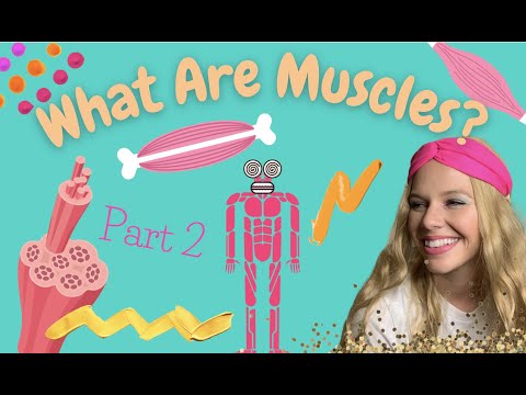 What Are Muscles? Part 2 | Human Body learning | Mary- Ellen The Body Doc | Kids Educational Video