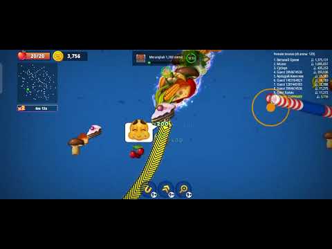 cacing pita Alaska makan rakus (2)