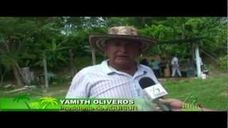 preview picture of video 'Entrevista con Yamith Oliveros Presidente de ACUISUR Canal Puri Tv 24/ene/2013'