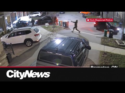 13 arrested, 2 others wanted in 'Project Wrangler' after series of Ontario-wide murders, robberies