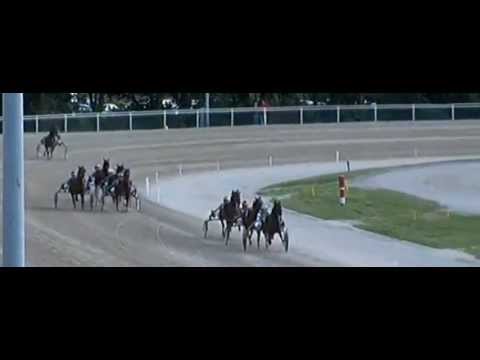 Großer Preis der NRZ 2013_Lindo Eden_Arnold J  Mollema