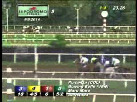 5TA CARRERA DE SABADO 6 DE SEPTIEMBRE DE 2014