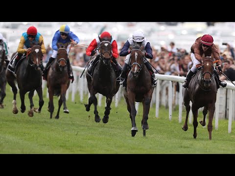 Köln: Karin Baronin von Ullmann - Schwarzgold-Rennen 2023 Siegerin: Lady Ewelina