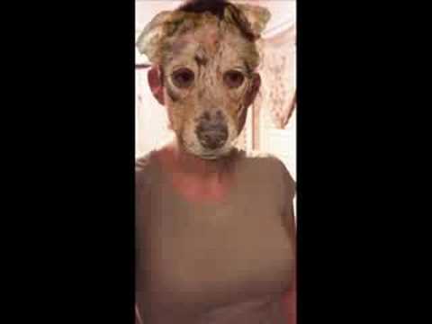 arabic vs. milkshake vs. no doubt vs. eminem vs. queen/ DnB