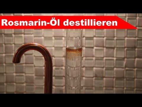 🌷 Frischen Rosmarin destillieren 🌻 - ätherisches Rosmarin-Öl selber machen Teil 1 - diSTILLed