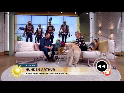 Maria Forsblom botaniserar bland veckans mest sedda - Nyhetsmorgon (TV4)