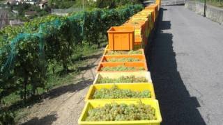 Marc Streitenfeld Wisdom (A Good Year)