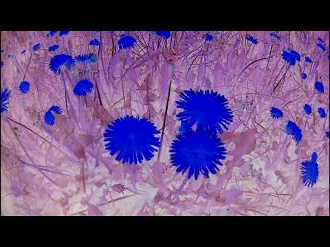 Nuly - Nuly - Je čas