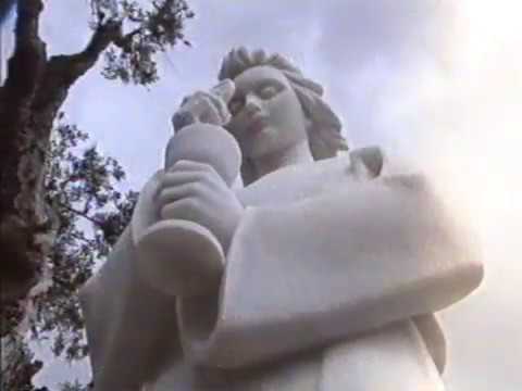 Fatima e il Terzo Segreto | Voci e segni dal cielo