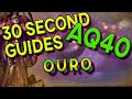 Ouro - 30 Second Guides - AQ40