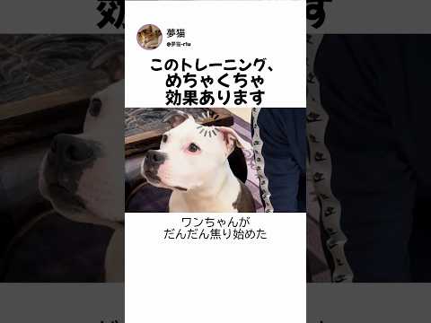 ワンちゃんの代わりに、飼い主が吠えた…