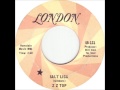 ZZ Top - Salt Lick