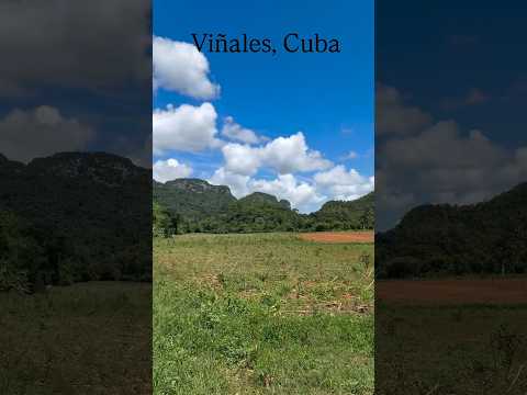 Viñales, Pinar del Río, Cuba. #viajandoconshayra #travel #cuba #vinales #turismo