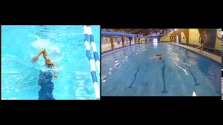 Masterclass: 5 Stage Front Crawl Swim Course