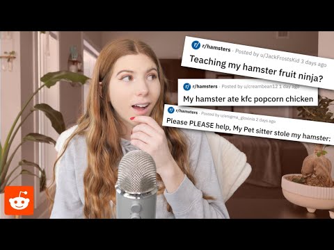 Reading r/hamsters posts on Reddit