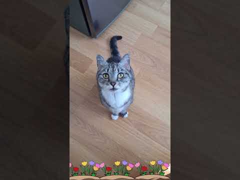 Milka i jaja za Uskrs😇😂