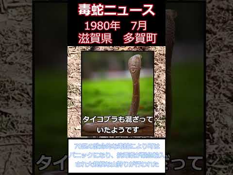 Nuvola アプリの日付.svg