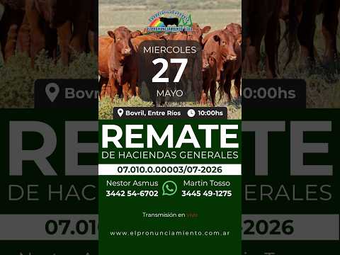 Remate de hacienda Bovril 27-05-2026 | Coop. Ganadera El Pronunciamiento