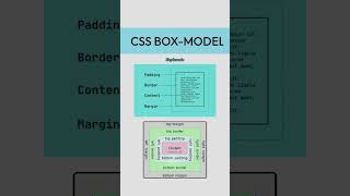 CSS BOX-MODEL.                 #cssboxmodel #cssborder #csstutorial #css