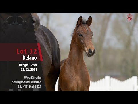 Springfohlen-Auktion 13. - 17. Mai Lot 32 Delano Hengst v. Durantos RR - Stalypso