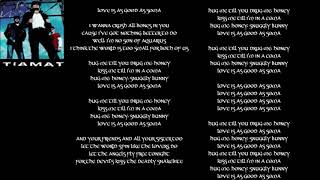 TIAMAT - Love is as Good as Soma [LYRICS ON SCREEN]