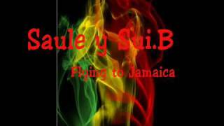 Flying to Jamaica - Saule y Sui.B