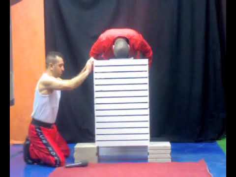 Dögüş sporları hocası Nihat Atamtürk'ün gösterisi