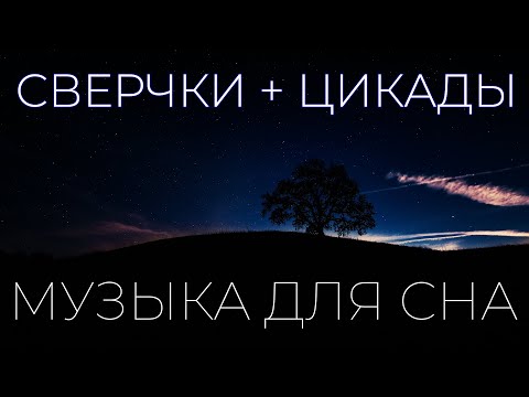 Сверчки, Цикады для сна, Расслабляющая музыка. 8 часов