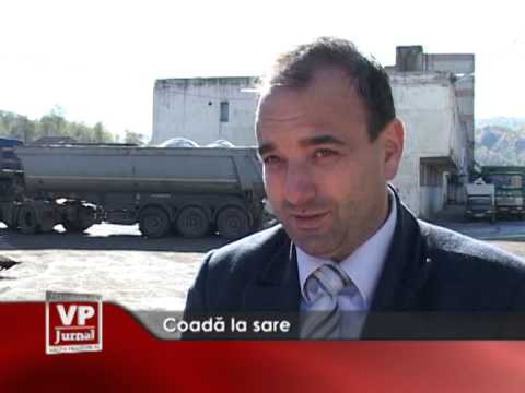 Coada la sare