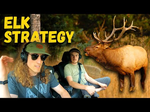 ELK HUNTING STRATEGY - Changing Our CALLING SETUPS!